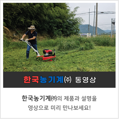 동영상